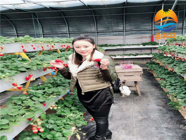 草莓立体国产在线麻豆精品入口